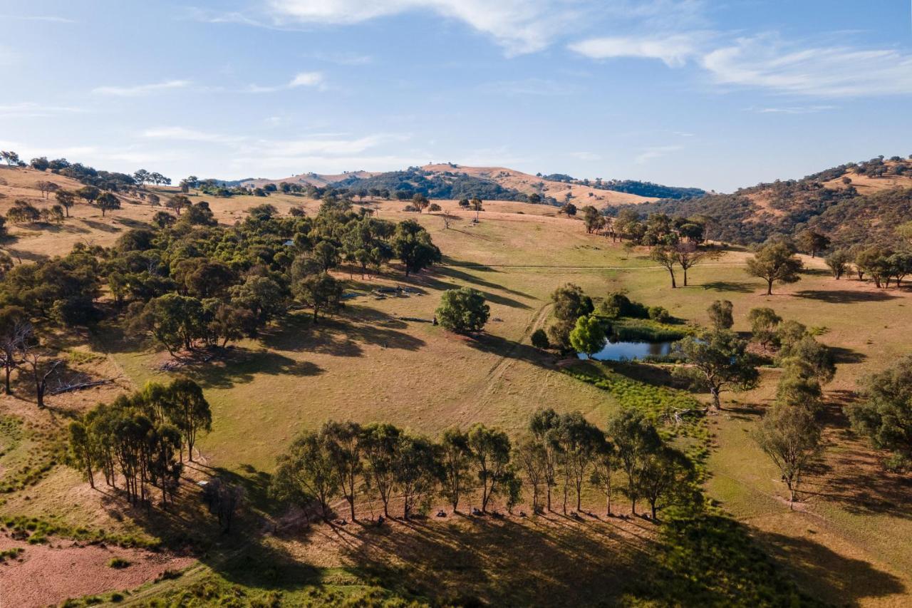 Gaddleen Grove Cottages Wodonga Extérieur photo